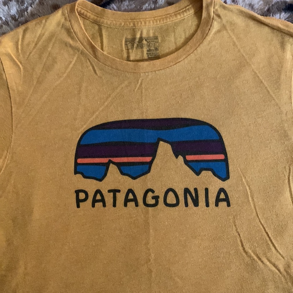 Patagonia Tee — Small Slim Fit - Picture 2 of 8